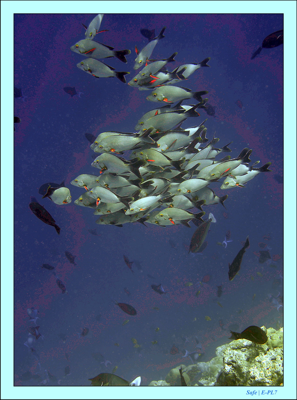 2023 - 07 - Sandies Bathala - 201